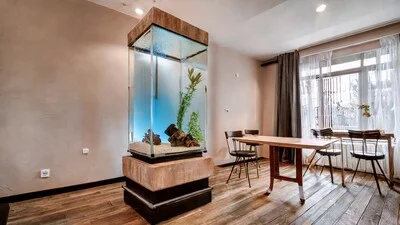 Vertical Aquariums - Everything You Need to Know! test