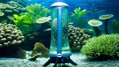 Мощный и большой аквариумный водонагреватель.